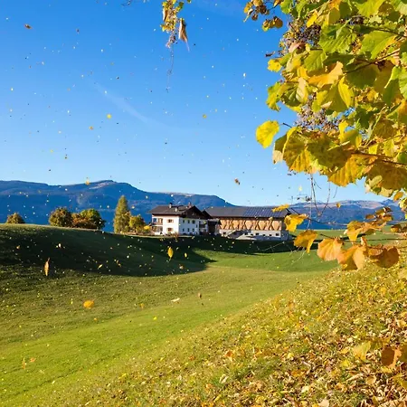 Treffhof-2